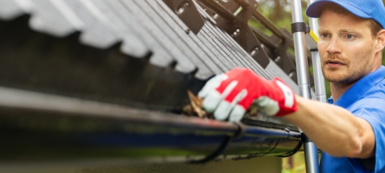 gutter-cleaning-img